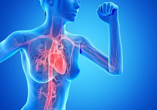Reduce back fat with cardiovascular exercise