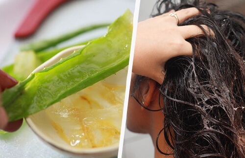 5 of the Best Natural Conditioners 5 of the Best Natural Conditioners