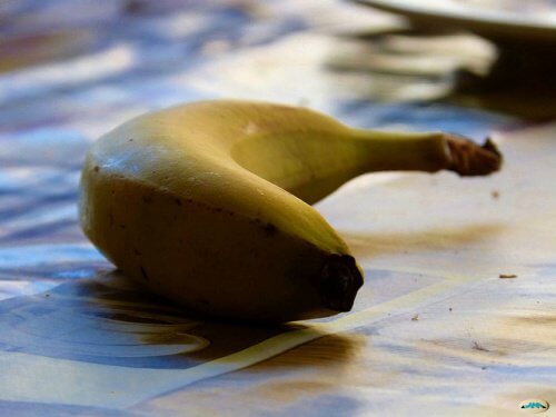 ALT TITLE Banana