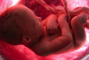 Why Don't You Remember Your Birth?