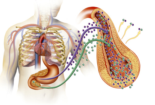 Causes of diabetes