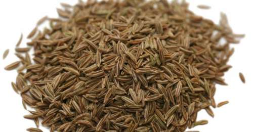 ALT TITLE Cumin