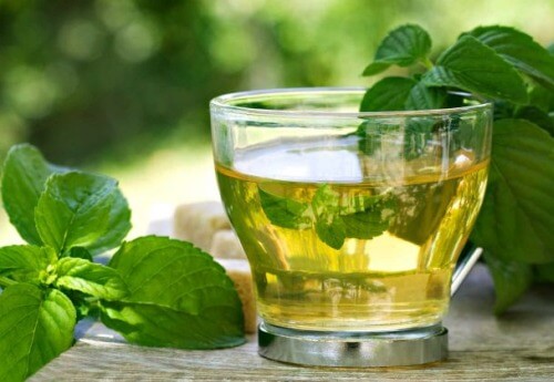 ALT TITLE How-to-drink-Boldo-tea