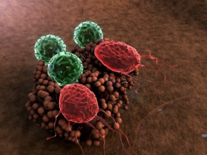 8 Things That Damage Your Immune System