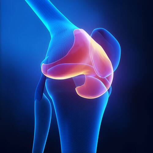 Knee cap.