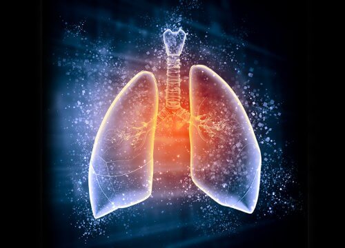 ALT TITLE Lungs