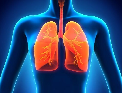 ALT TITLE Lungs2