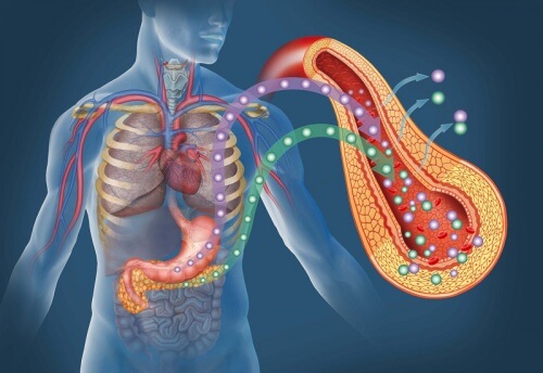 A diabetic pancreas