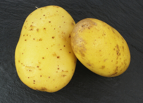 Two raw potatoes.