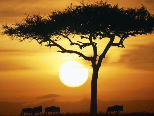 African sunset
