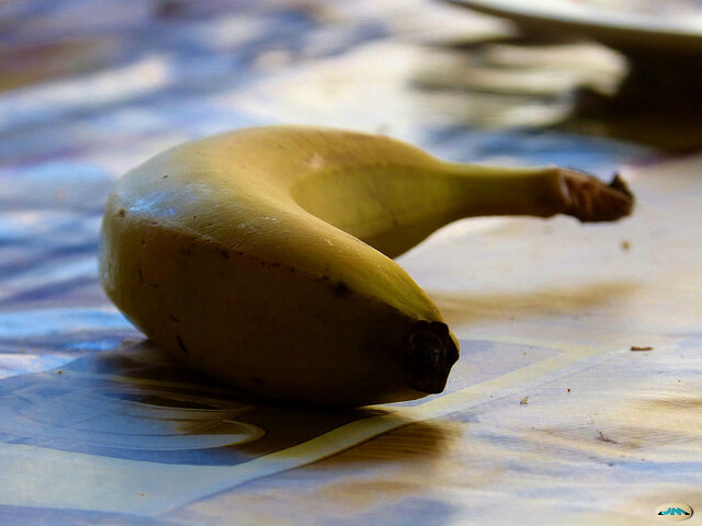 ALT TITLE bannana1