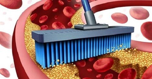 10 Foods for Cleaning Out Your Arteries and Veins