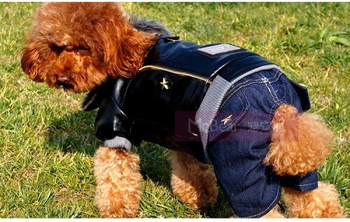 dog-clothes