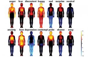 How Negative Thoughts and Emotions Harm Your Body