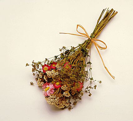 ALT TITLE flowers