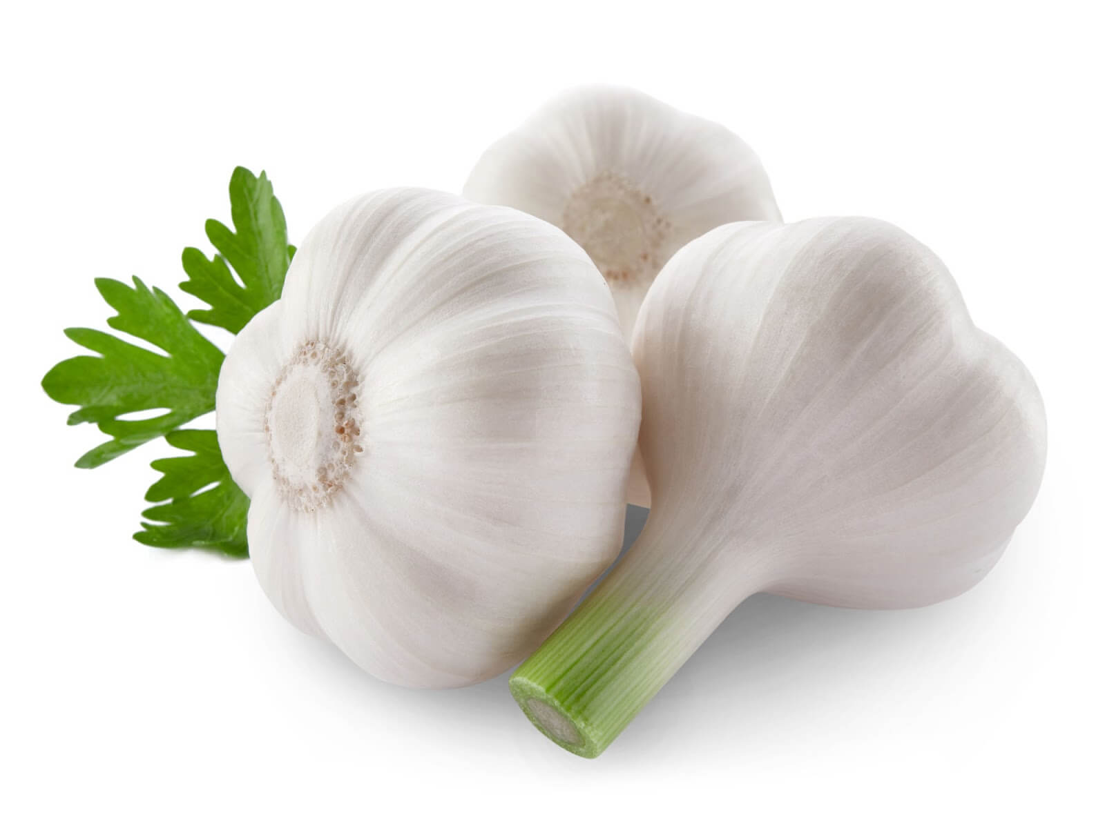ALT TITLE garlic