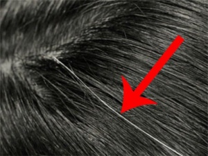Hide Gray Hair with These Home Remedies