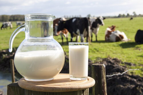ALT TITLE milk