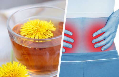5 Simple Ways to Detox Your Kidneys
