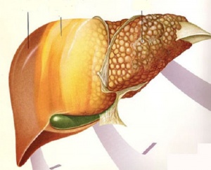 The Best Fruit to Control Fatty Liver Disease