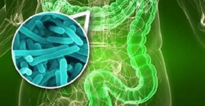 10 Signs that May Indicate You Have Small Intestinal Bacterial Overgrowth