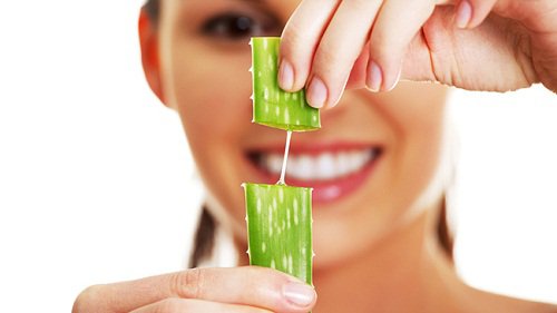 Woman holding up an aloe leaf