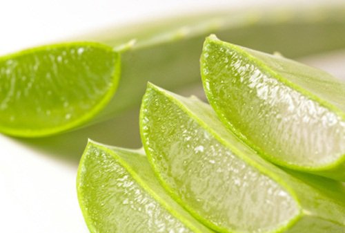 Aloe-vera to repair your colon