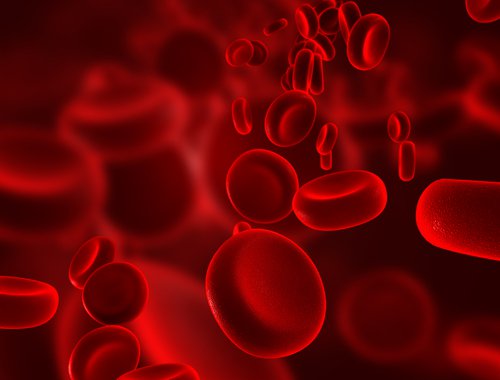 Red blood cells