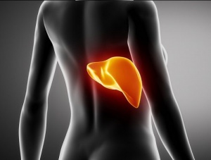 Symptoms of an Enlarged Liver and How to Treat It