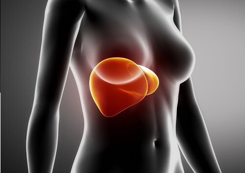 Repressing Emotions Blocks Your Liver