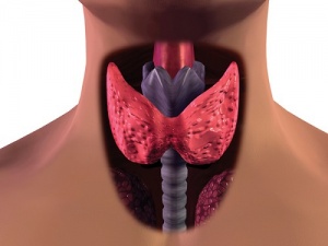 3 Easy Ways to Cope with Hypothyroidism