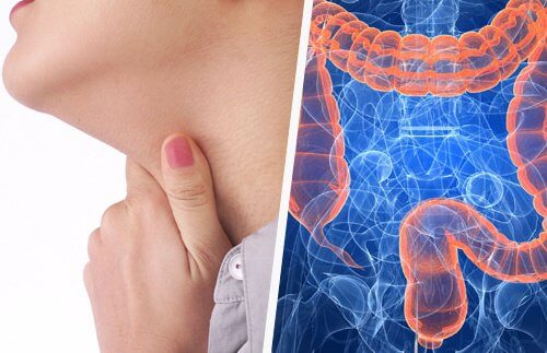 Relationship Between Throat Issues and the Intestine