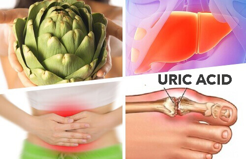 Medicinal Uses for Artichokes You Should Know About
