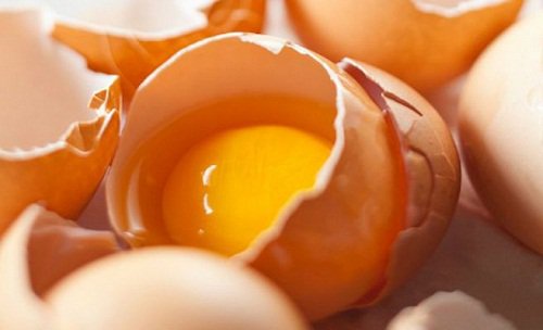 egg