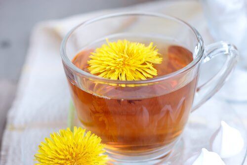 Dandelion tea infusion to fight dandruff and seborrhea