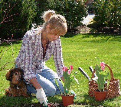 flowerplanting