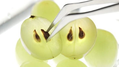 grapeseed