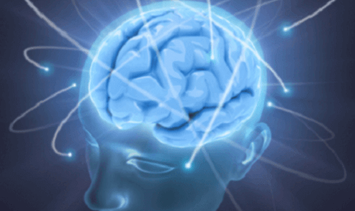 Anatomical image of a brain