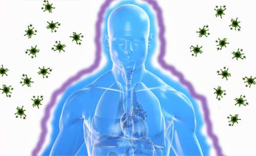 Improve your immune systme to combat diseases