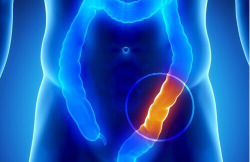 Blue illustration of large intestine