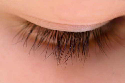 lashes