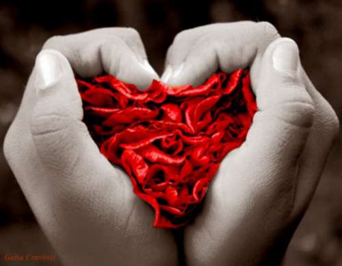 5 Risks of Emotional Dependence on a Significant Other