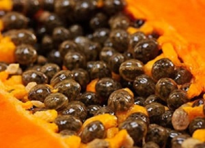 Discover 5 Huge Benefits of Papaya Seeds