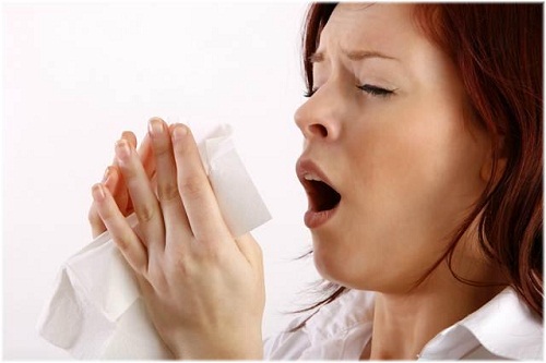 ALT TITLE sneeze