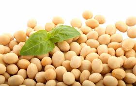Improve your immune system with soy beans