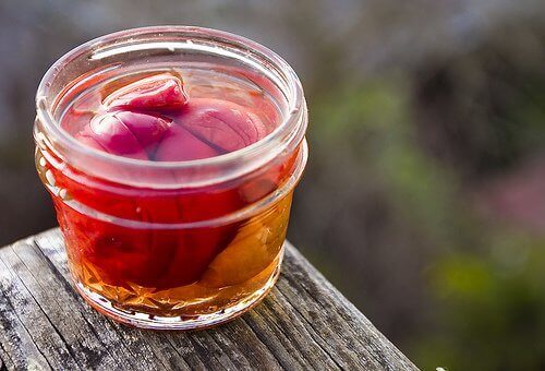 umeboshi plums for stomach acid