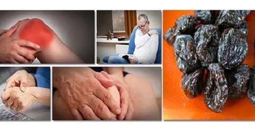 The Prune May be Able to Prevent Bone Mass Loss