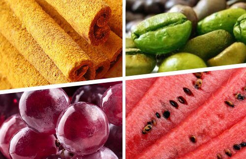 foods that burn fat Foods that Burn Fat