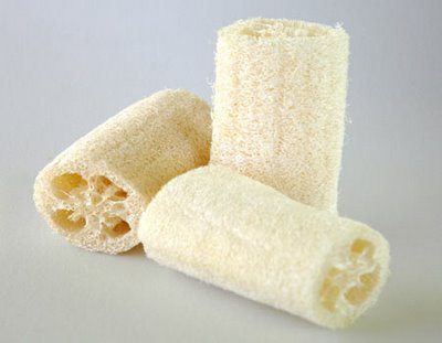 ALT TITLE 2 loofa