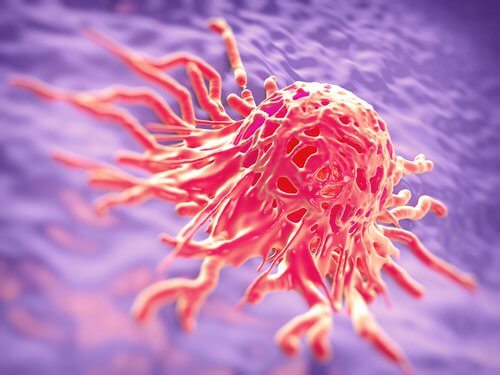 cancer cells